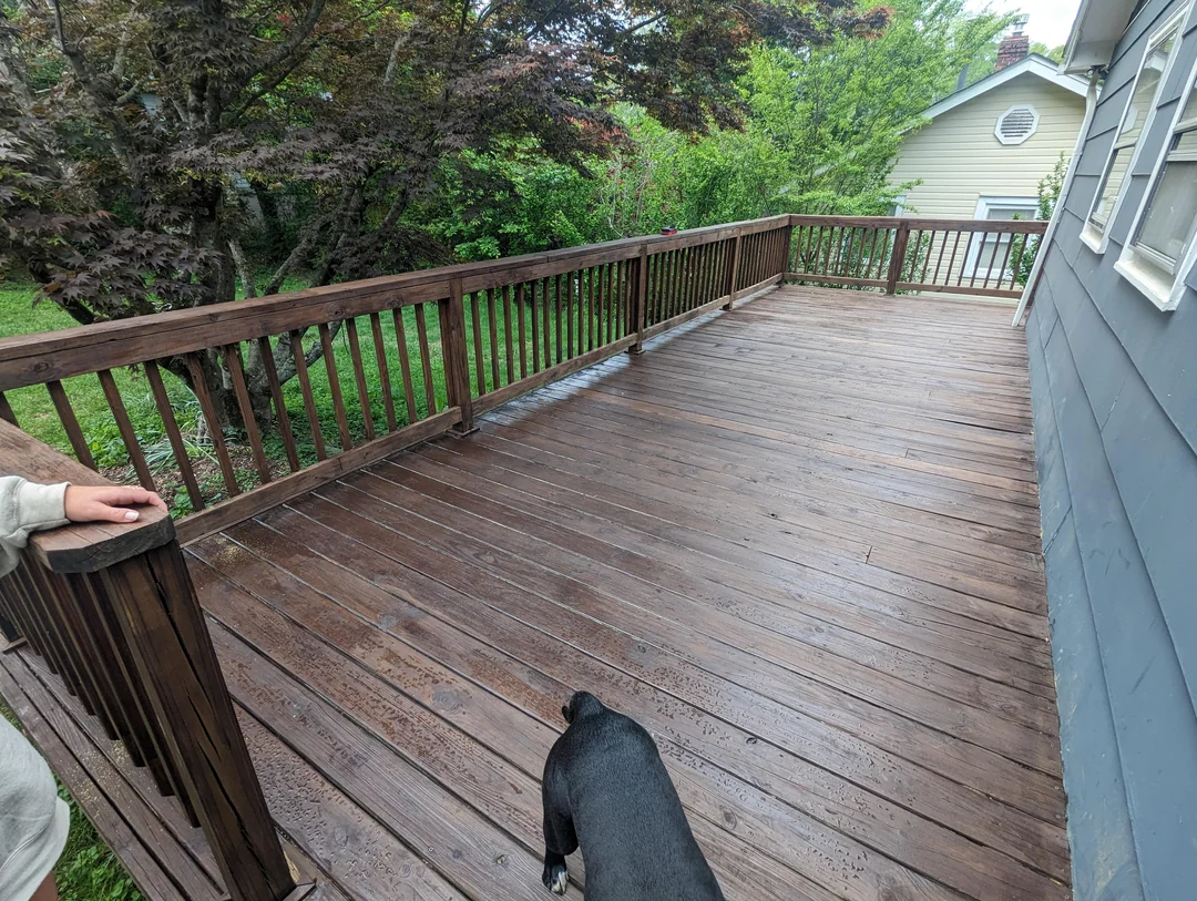 Restored and stained wood fence by Wilson's Painting